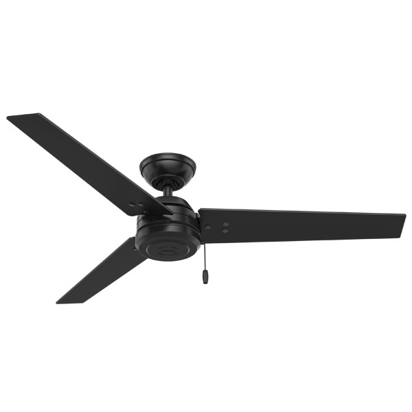 Hunter Black Ceiling Fan